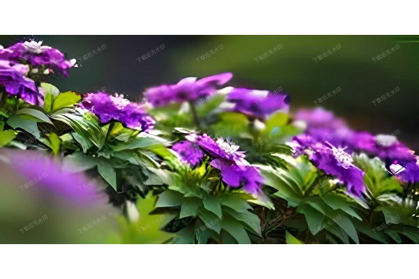 杭州一木按摩实惠套餐，养生好选择！